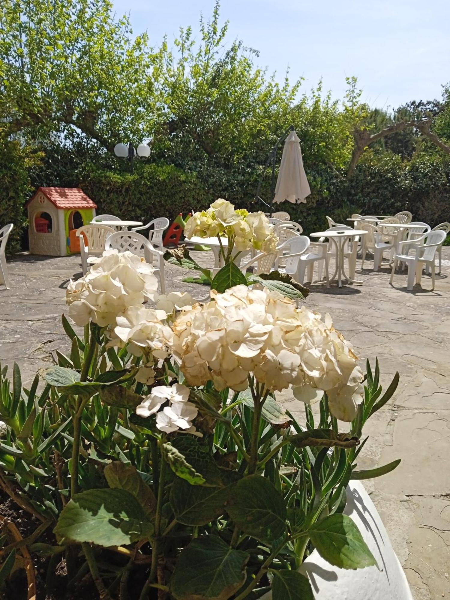 Hotel Buenos Aires Cervia Exterior foto